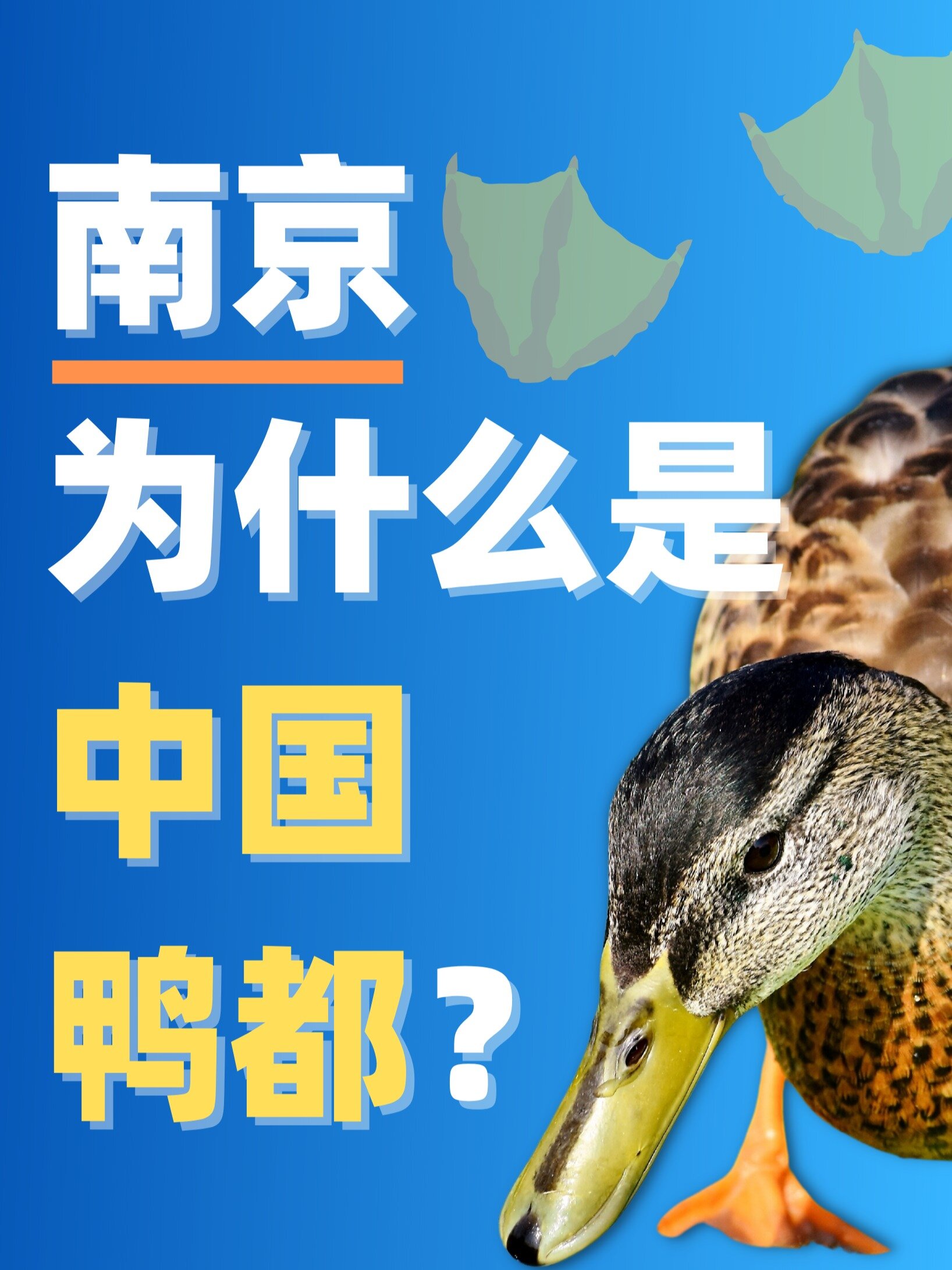 你就说,南京凭什么被称为“中国鸭都”?