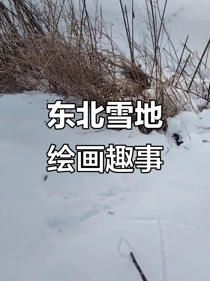 雪地简笔画:老丁头儿欠债,韭菜豆腐糖葫芦全搞定