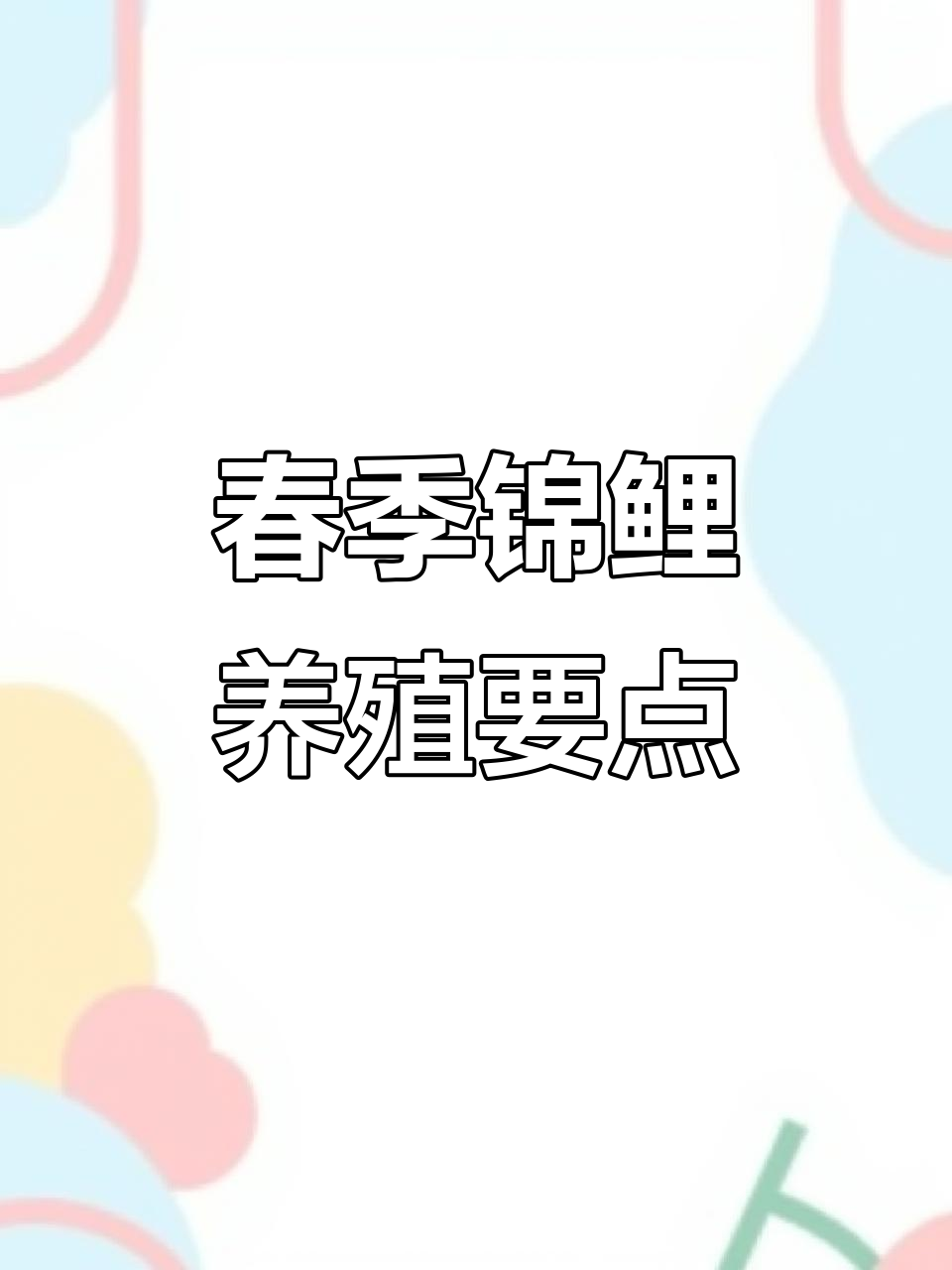 春季锦鲤饲养技巧：从喂食到水质管理全攻略