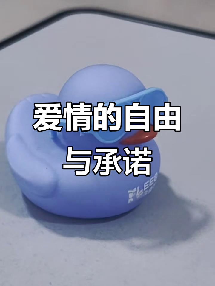 小鸭黎与北美鸭王的爱情自由:承诺与否,都是我的选择