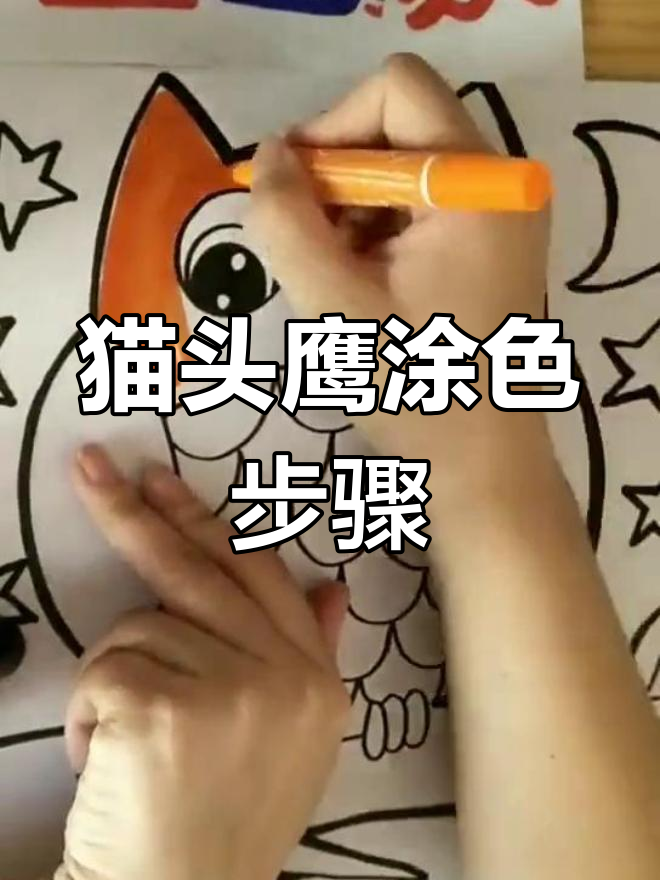 创意涂色:猫头鹰绘画教程