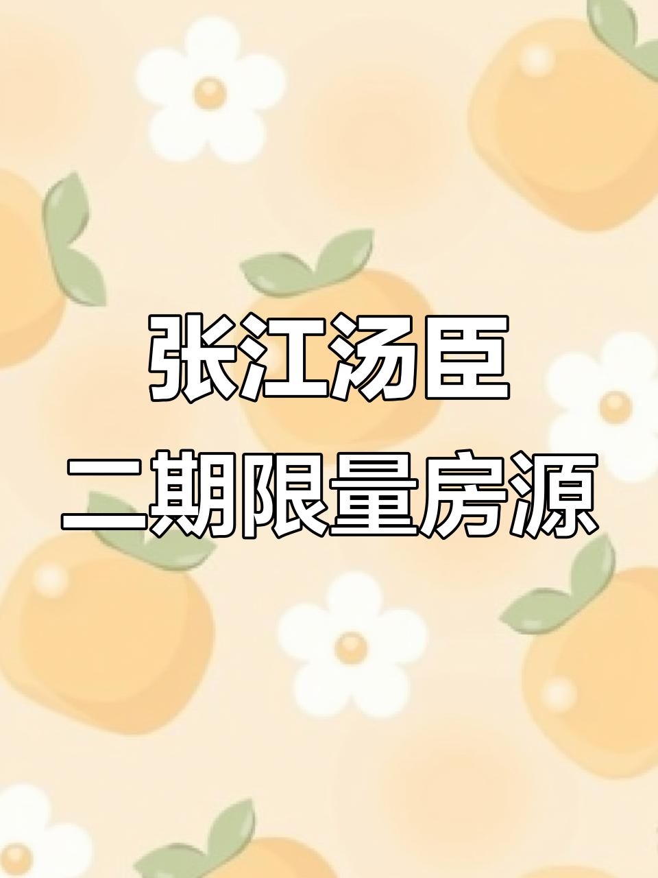 张江汤臣二期复式两房,位置优越、得房率高