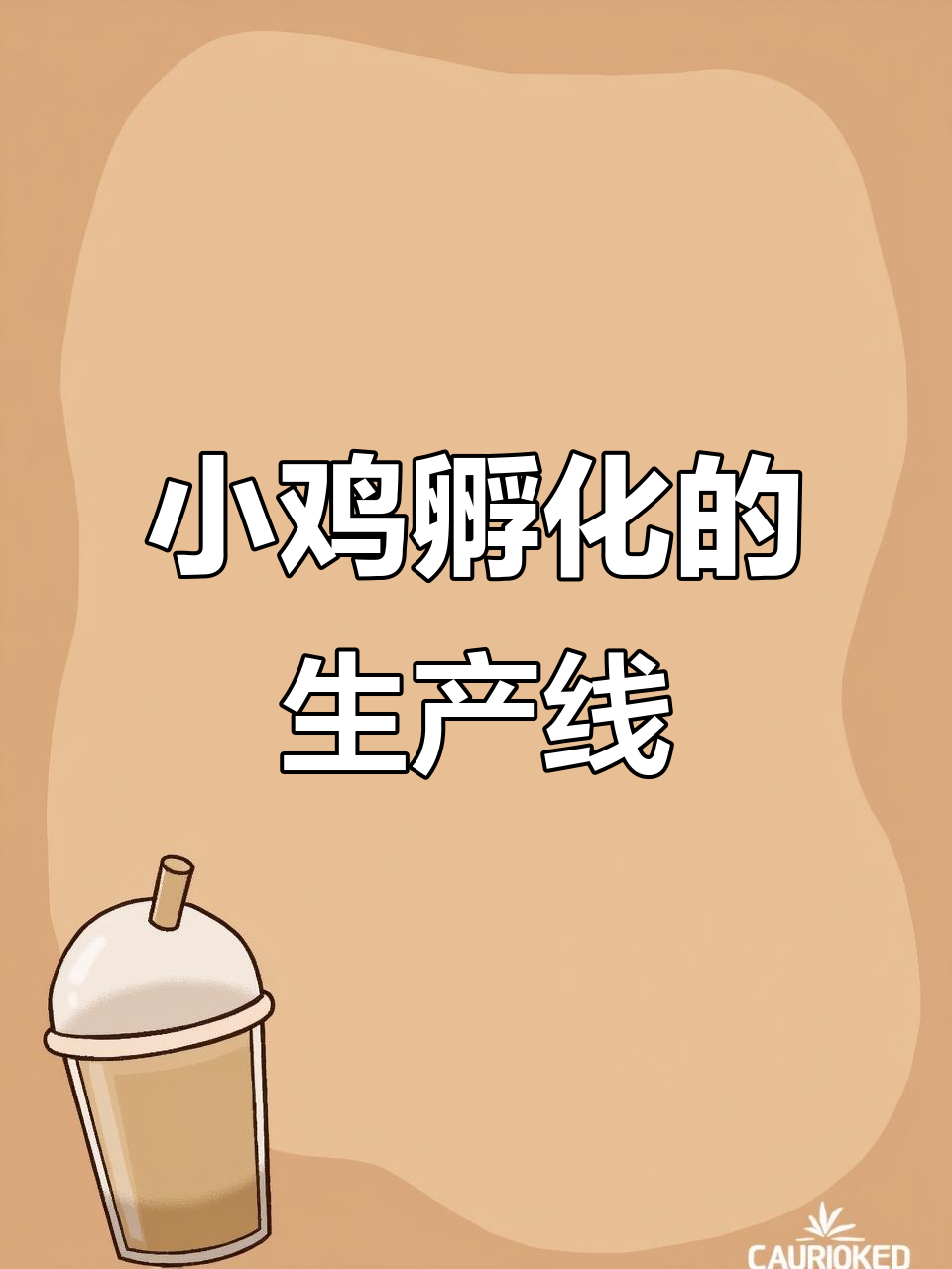 孵化场自动化:小鸡诞生像流水线一样高效