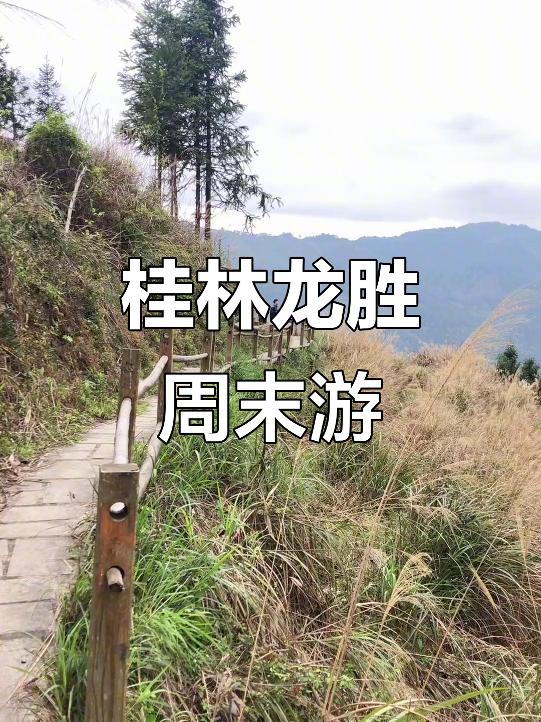 龙胜周末打卡:美食、温泉与美景全攻略