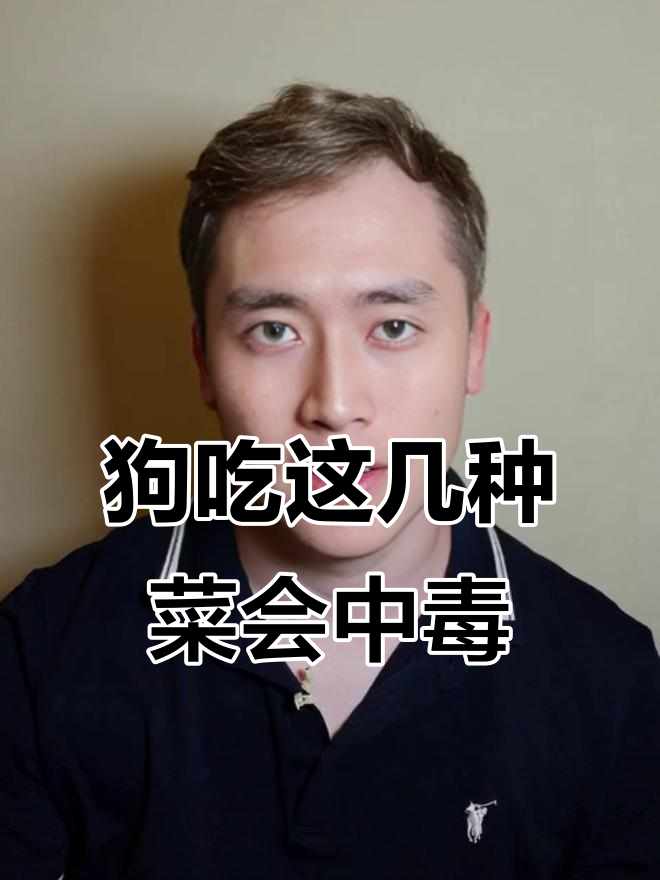 狗狗吃了这些蔬菜，24小时内可能丧命