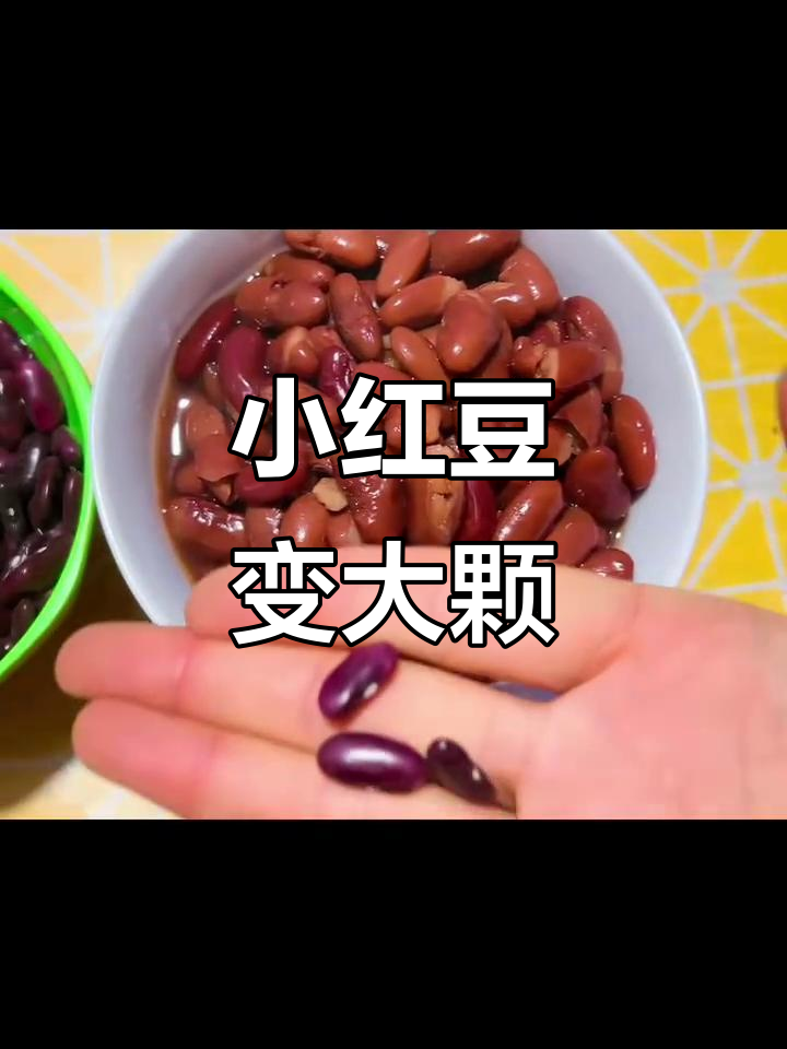 小小红豆煮成大颗,汤水加酸菜更美味