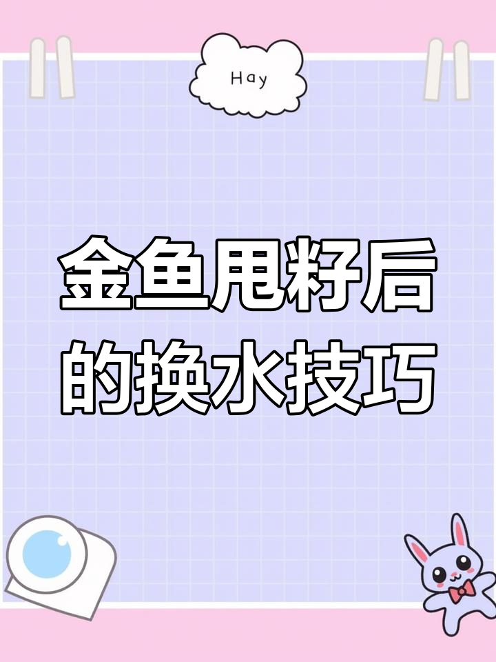 金鱼甩籽后护理全攻略,水质管理必知技巧