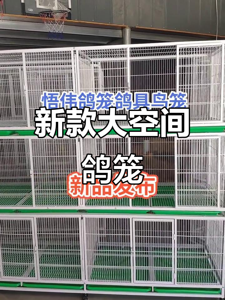 超大鸽笼新品上市,三层六屋设计超实用
