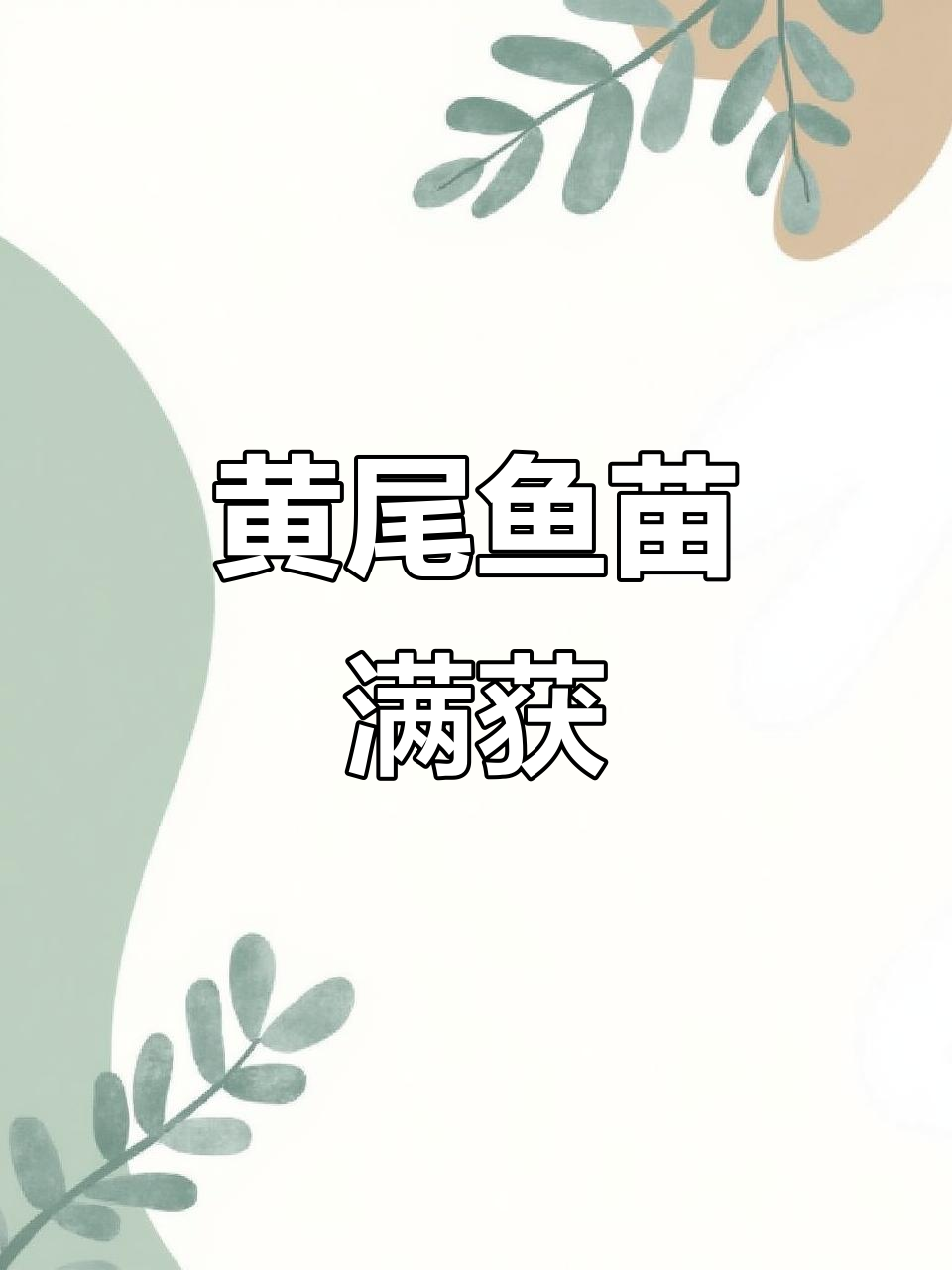 体验渔民生活,黄尾鱼苗大丰收!