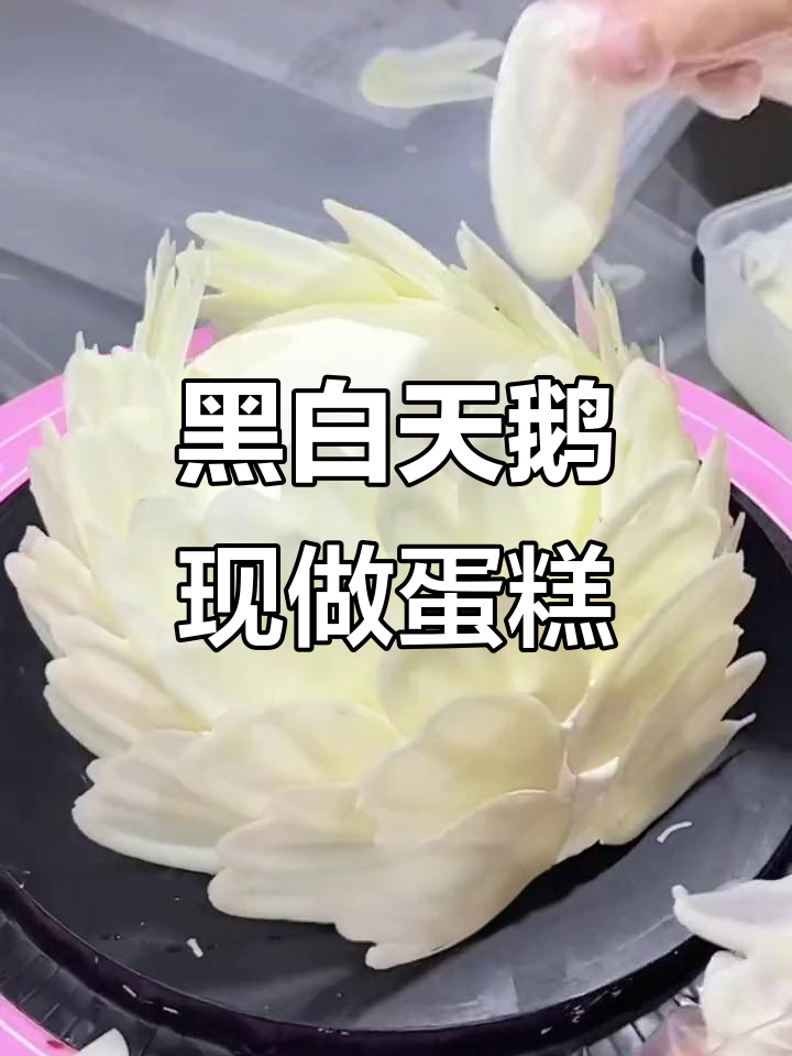 手工羽毛蛋糕,双层水果夹心,总统奶油加持!