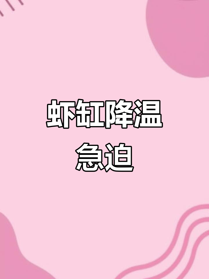 水晶虾缸温度飙升,降温措施赶紧做!