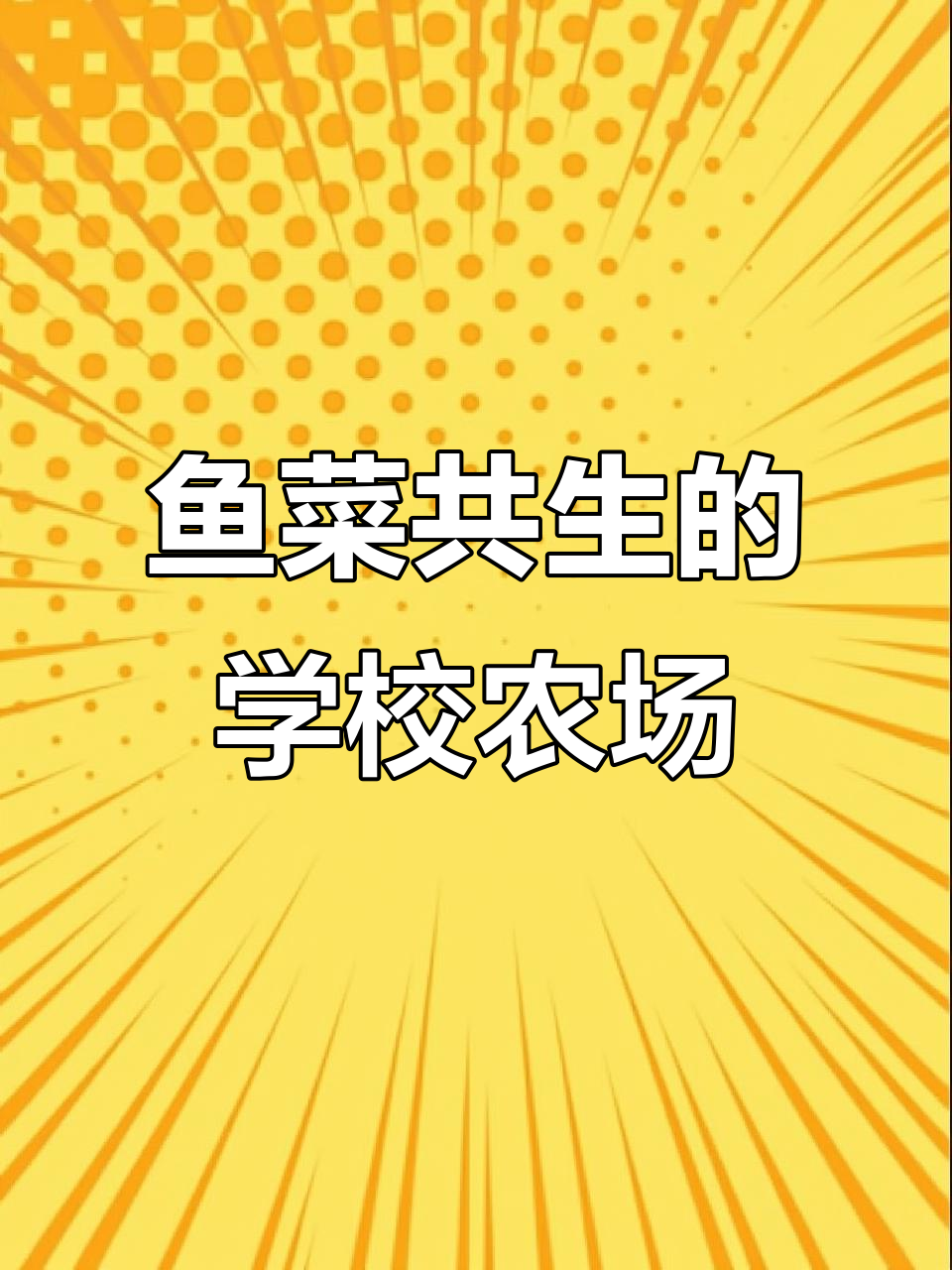 学校鱼菜共生农场:从质疑到赞许,蔬菜丰盈、鱼儿成群