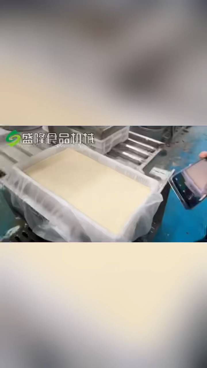 流水线大型豆腐加工设备全自动化