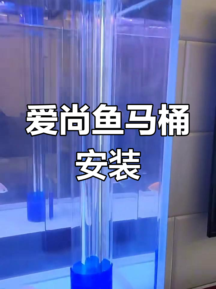 1.2米鱼缸改装,爱上鱼的粪便分离系统轻松搞定