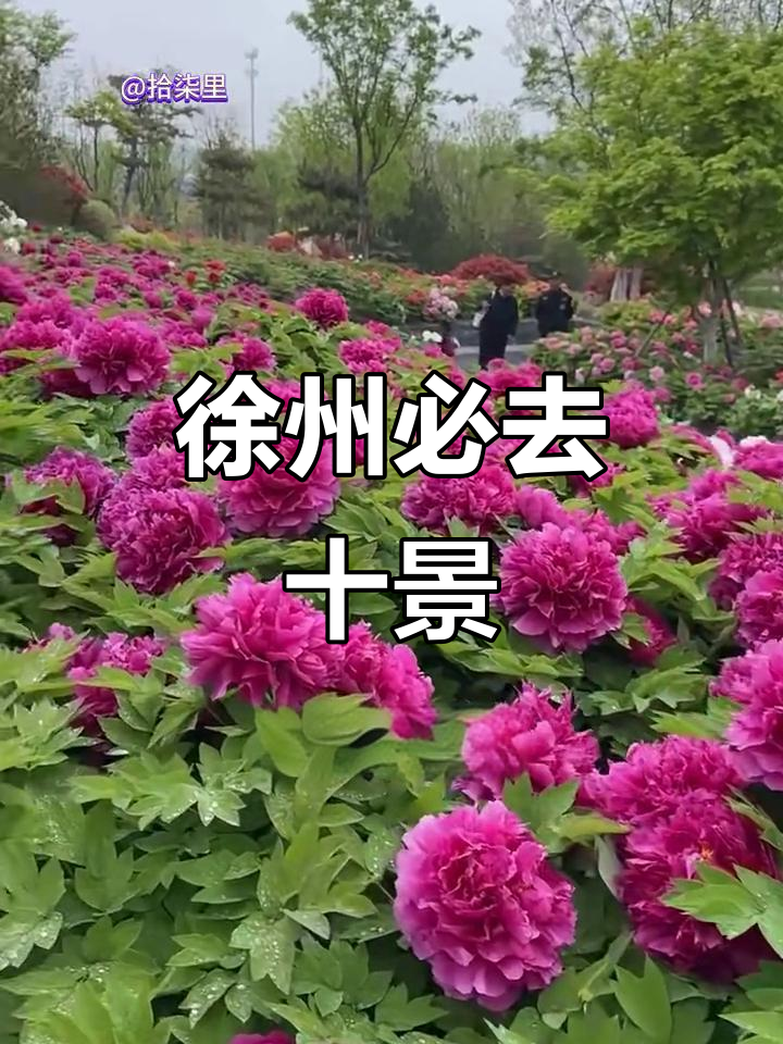 徐州十大必游景点,全去过才算地道!