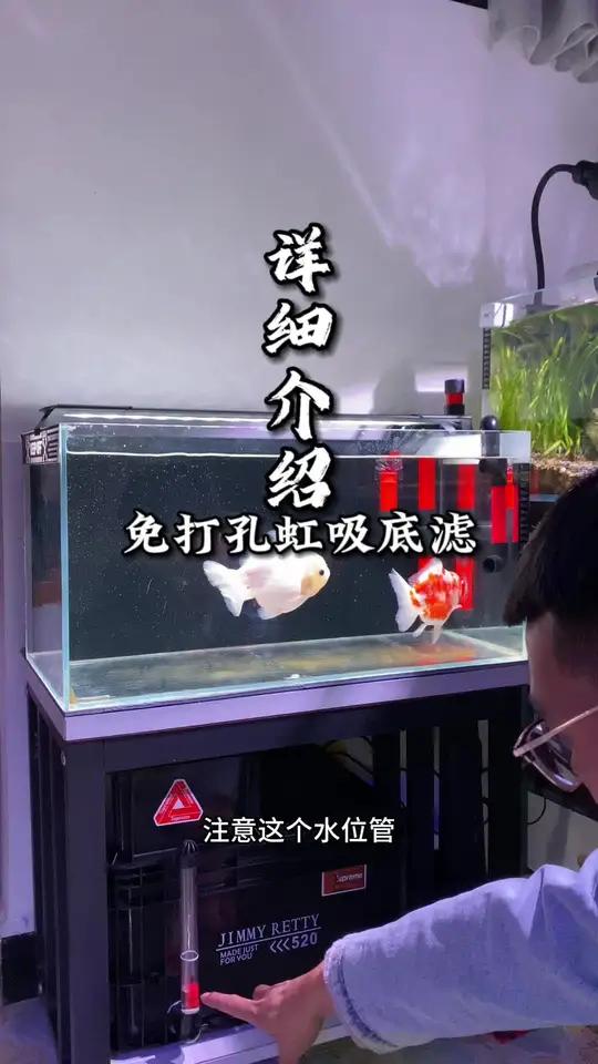 小缸低成本免打孔虹吸底滤,大家最关心的两个问题,两分钟时间,解除你的疑惑!养鱼日记 免打孔