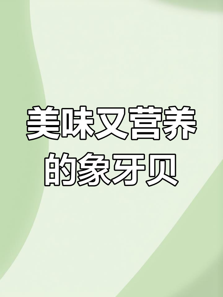象牙贝鲜美可口,炒拌汤皆宜,营养丰富!