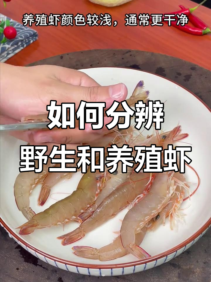 野生虾与养殖虾如何区分？看颜色就能轻松辨别