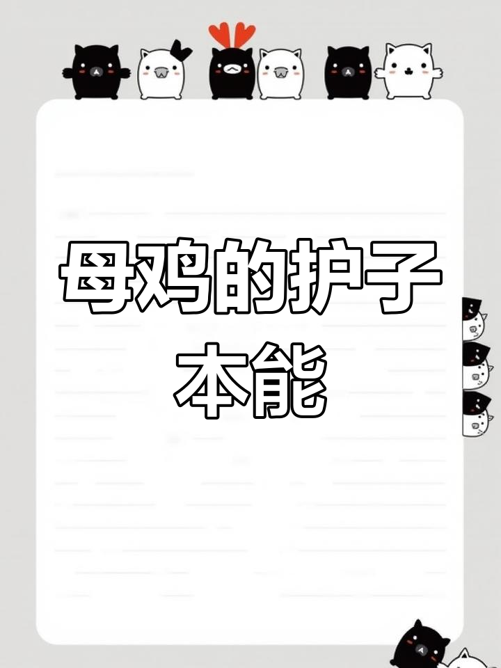 母鸡如何保护小鸡,与猫狗争斗不离不弃