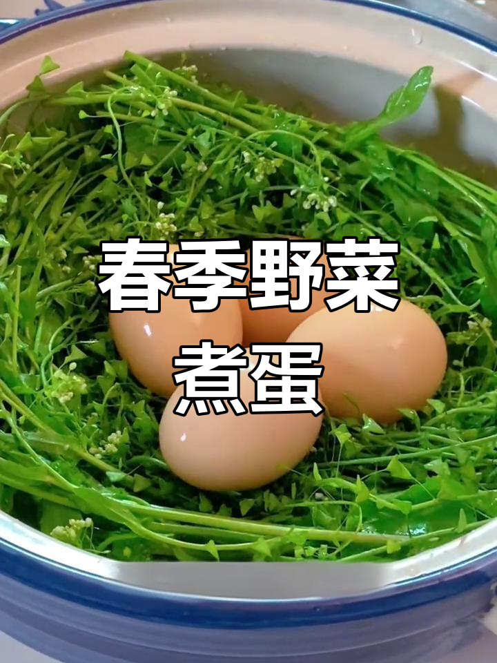 春天吃荠菜花煮鸡蛋,轻松享受春天的味道