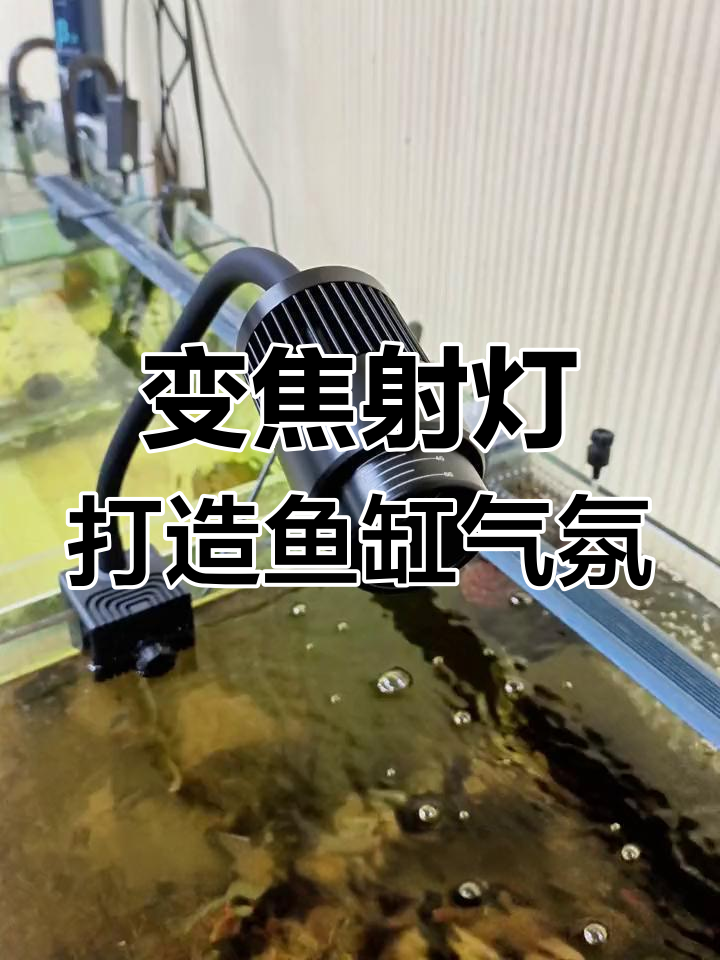 创宁水泵自制过滤帆布池虹吸原理详解