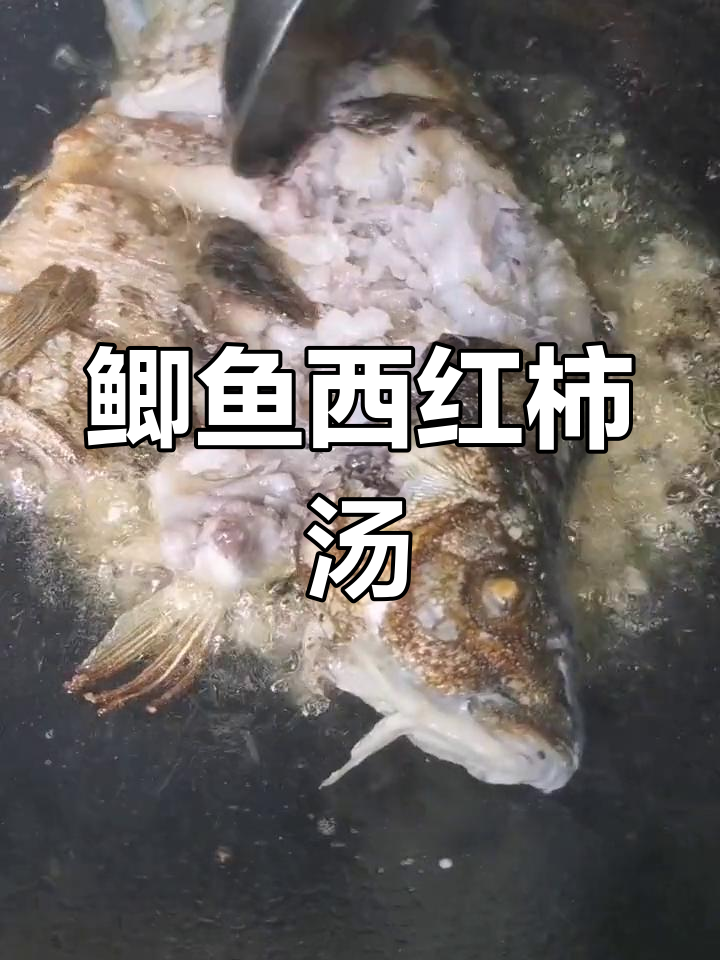 鲫鱼西红柿汤,营养满满又美味,孕妇必试催奶良方