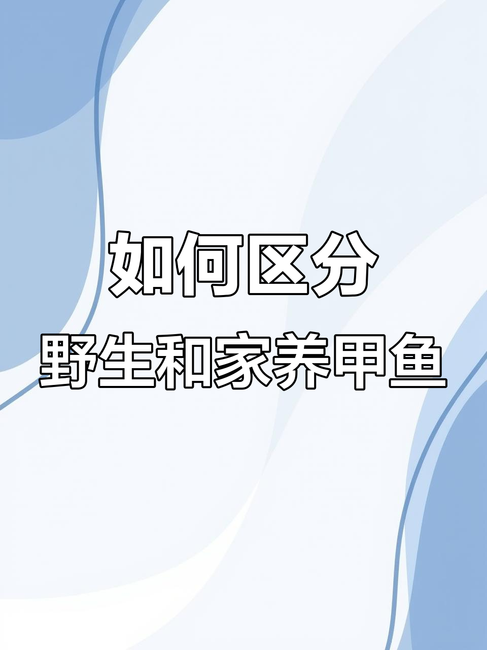 野生甲鱼与家养甲鱼的辨别技巧,从爪子到背壳全解析