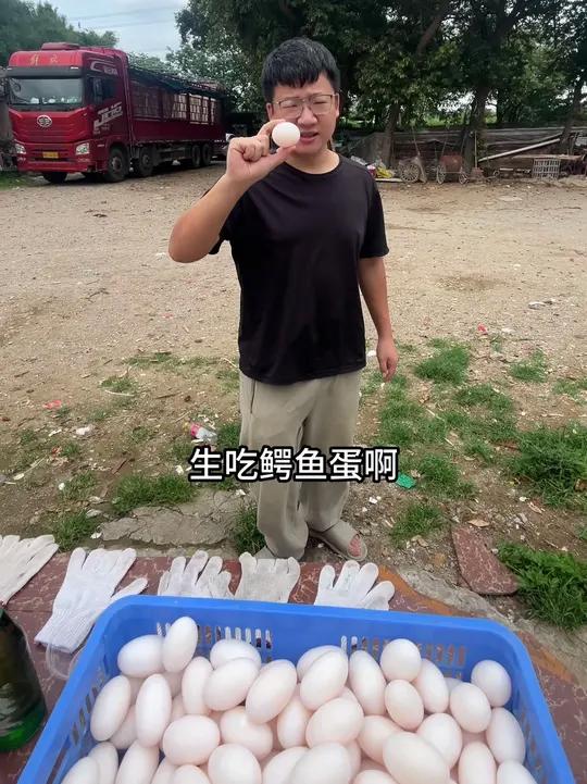 鳄鱼蛋是什么味道,挑战原味生吃,会发生什么有趣的故事?记录第一次生吃鳄鱼蛋