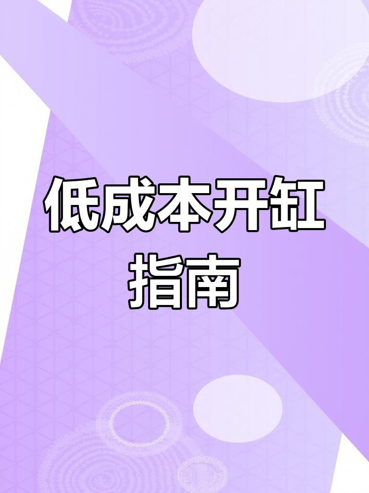 斗鱼缸造景教程,低成本打造美丽水族环境