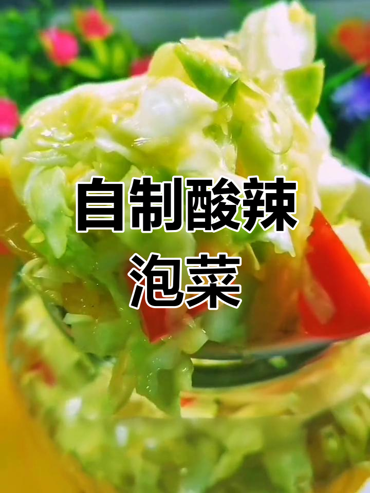 酸辣包菜泡制法,15天不坏