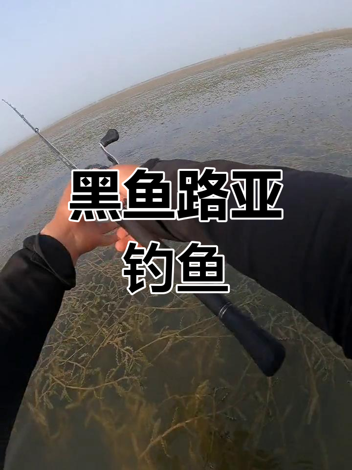 路亚黑鱼中鱼全过程,挑战大物