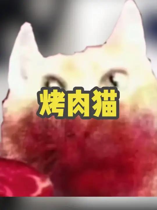 「梗」烤肉猫 #烤肉猫 #猫meme #梗