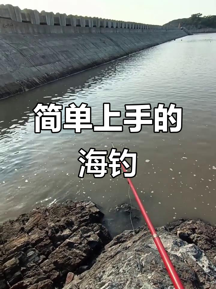 海钓新手必看!轻松捕捉海鱼,浮游矶技巧大揭秘