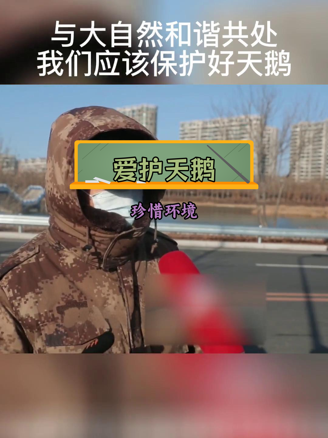 保护天鹅,守护生态环境