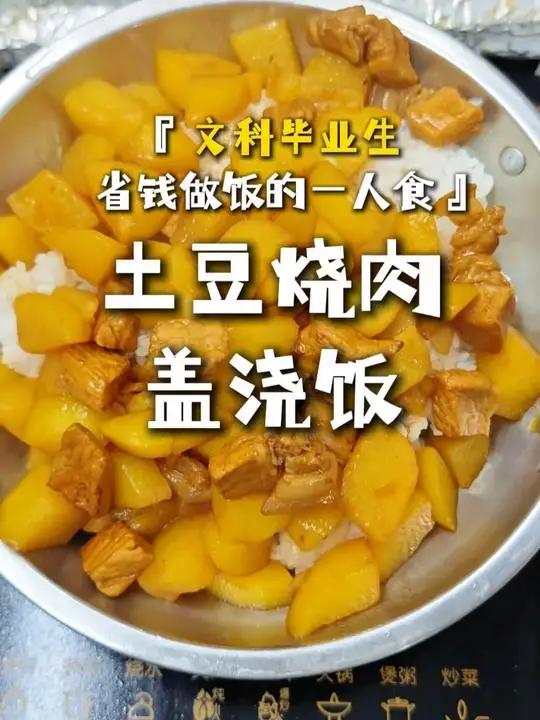 文科毕业生省钱做饭的一人食:土豆烧肉
