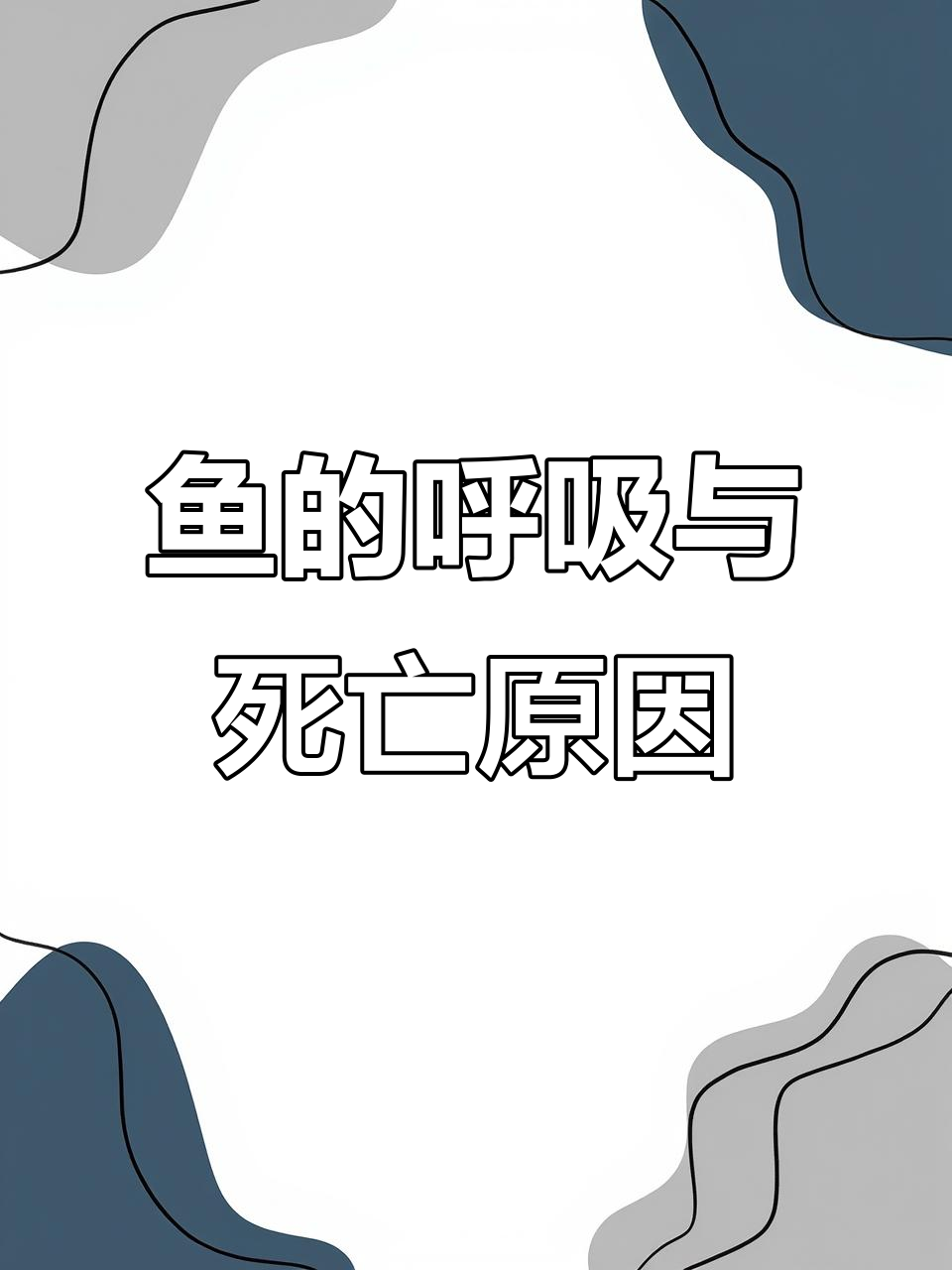 鱼鳃如何让鱼儿生死一瞬:从解剖到理解气体交换原理