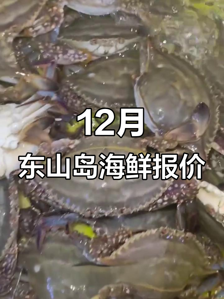 12月11日东山岛海鲜市场:佛手螺等价格大揭秘