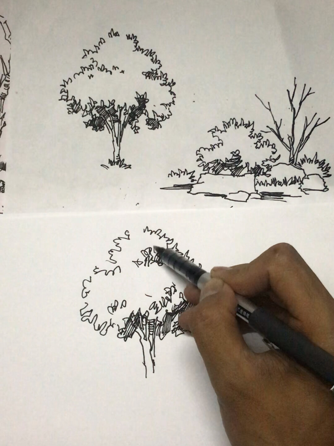 树画法速写