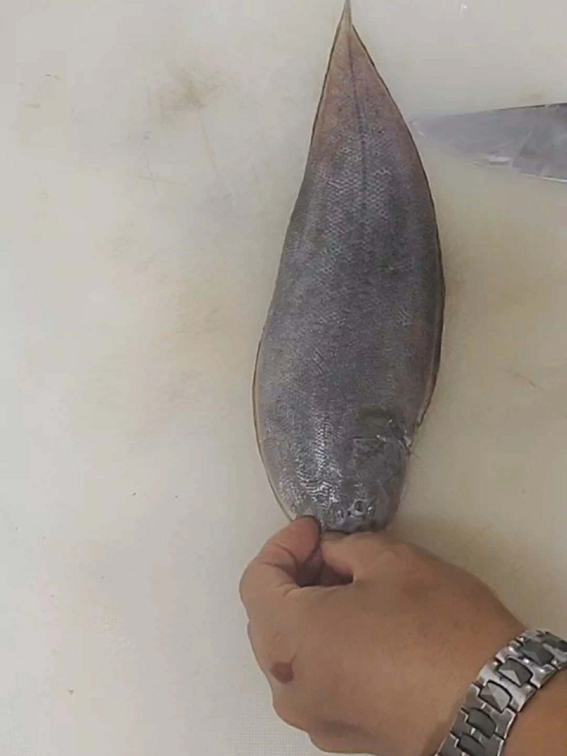 踏板鱼扒皮的方法