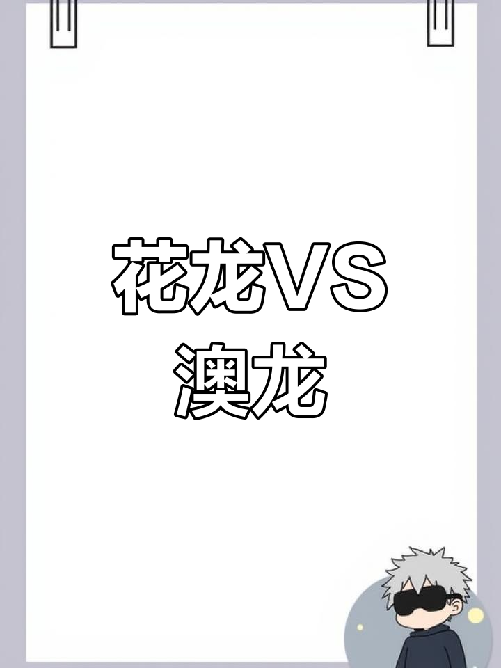 锦绣龙虾:越南花龙与澳龙的口感对比,中国美食的秘密