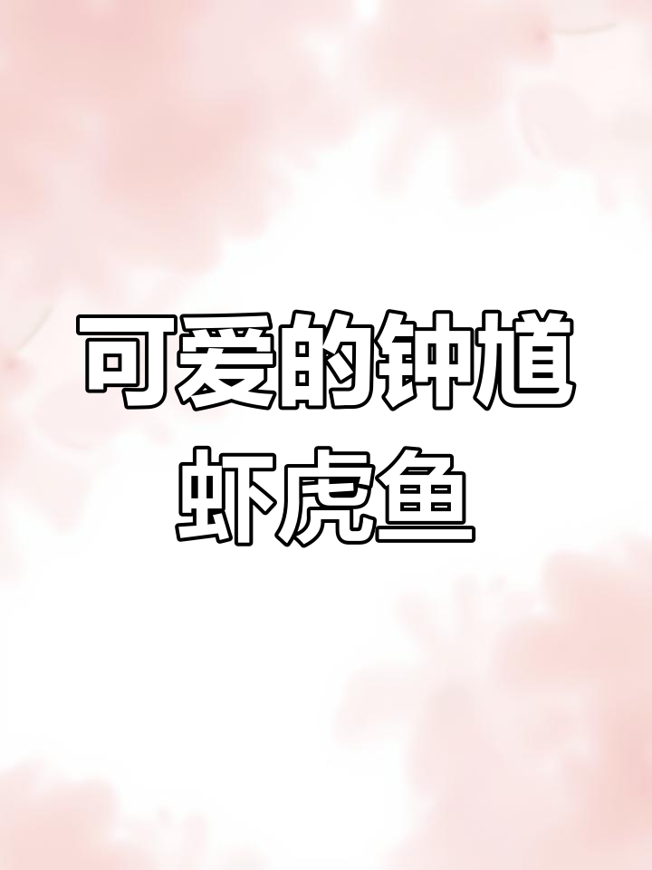 钟馗虾虎鱼:大脑袋小眼睛,美味又可爱