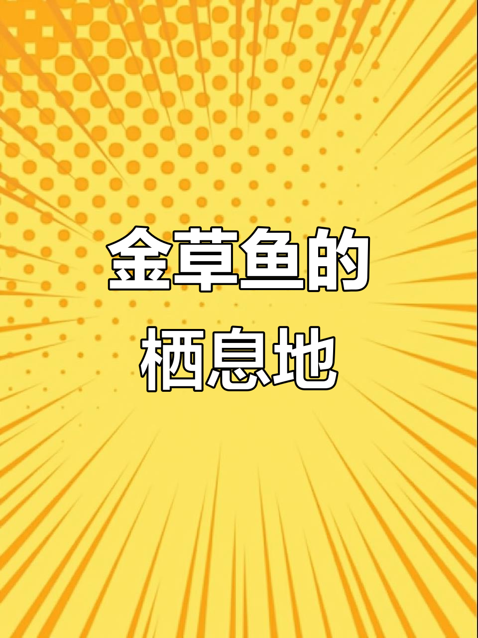俄罗斯金草鱼,常见于淡水环境的中下层