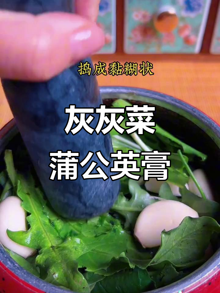 灰灰菜与蒲公英的神奇搭配,轻松做出传统草本膏