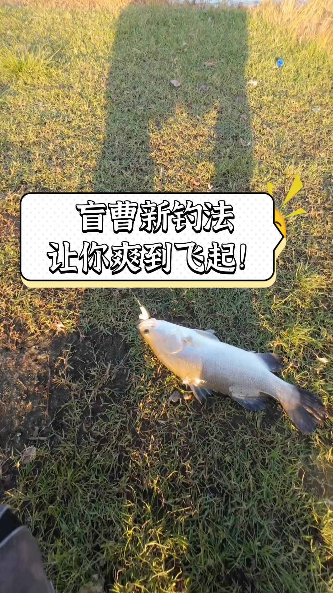 盲曹新钓法,让你爽到飞起!