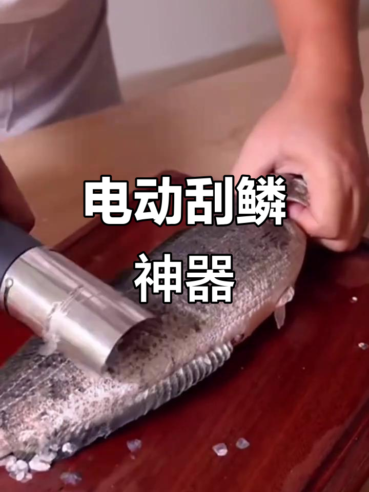 电动刮鳞器,快速去鱼鳞,省时又便捷!