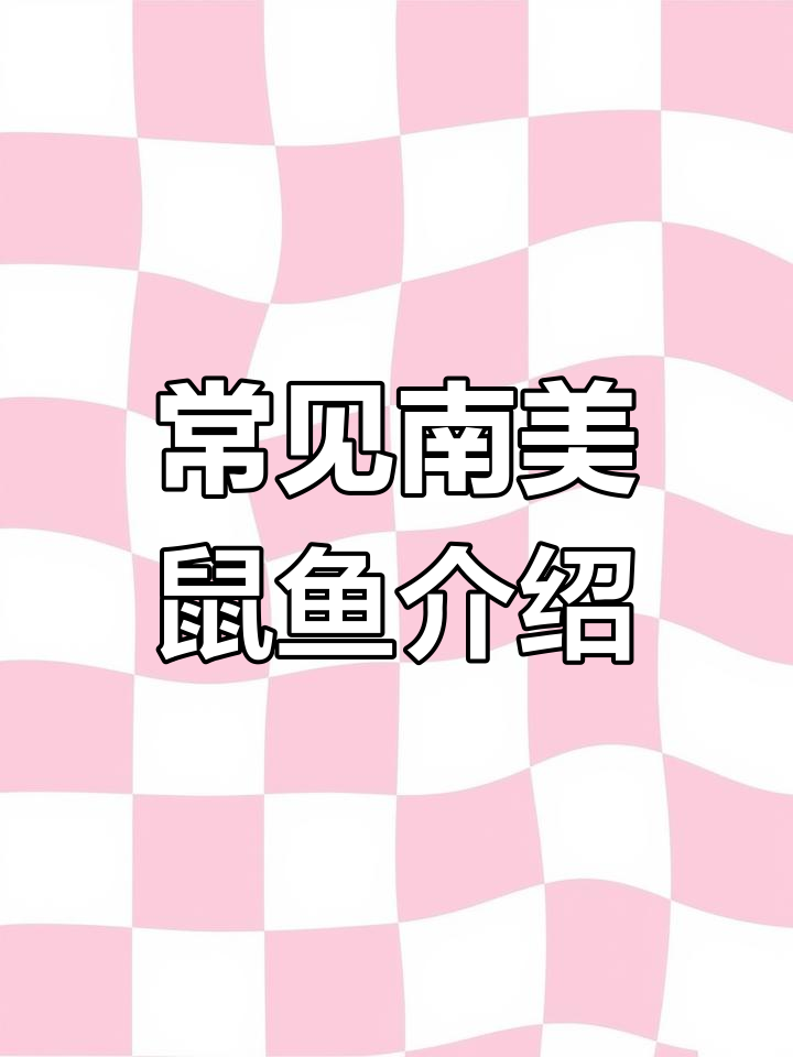 南美鼠鱼大揭秘:黑金红桃薯、熊猫鼠等品种全解析