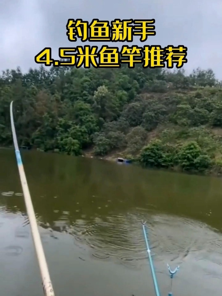 4.5米鱼竿性价比排好了,看你用过哪款。