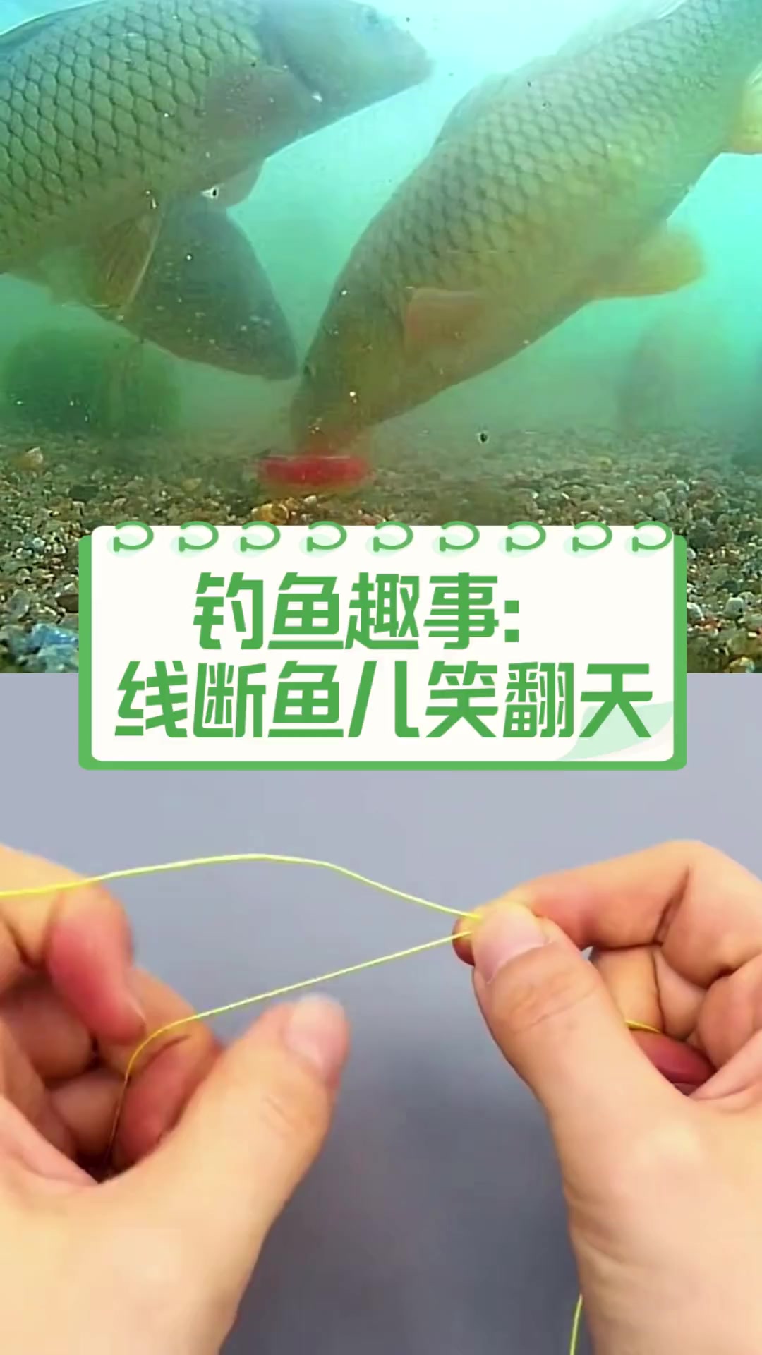 钓鱼趣事:线断鱼儿笑翻天