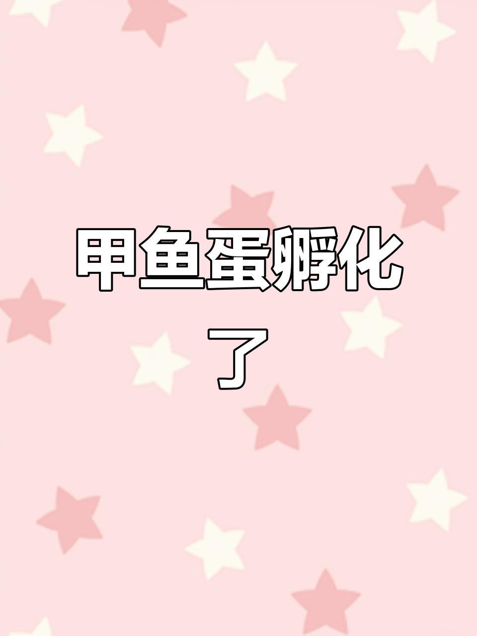 甲鱼蛋孵化记:一个星期左右就能出壳了