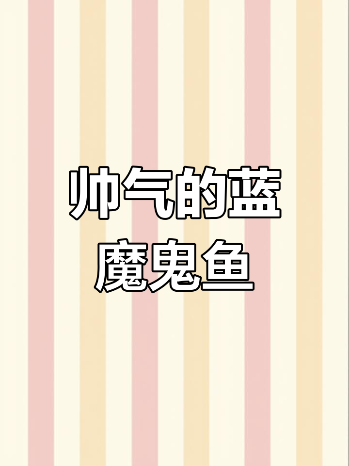 蓝魔鬼鱼:帅气又具攻击性,澳大利亚特产